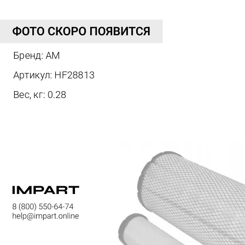 HF28813 СМЕННЫЙ ЭЛЕМЕНТ ФИЛЬТРА ТОРМОЗНОЙ ЖИДКОСТИ AM