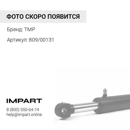 809/00131 ВТУЛКА 809/00131 TMP