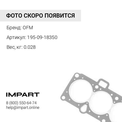 195-09-18350 о-кольцо OFM
