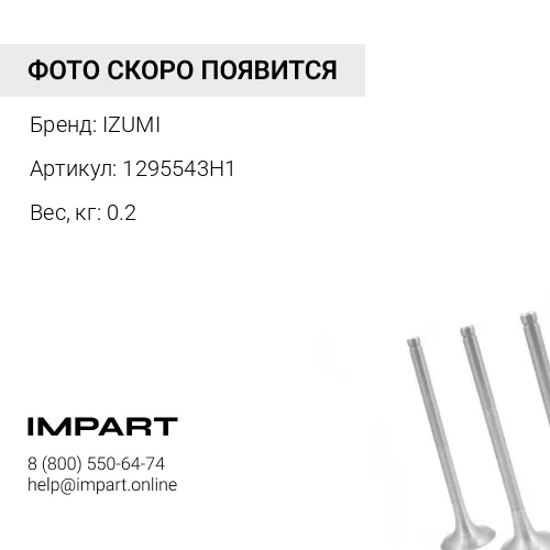 1295543H1 Клапан выпускной 6D102 1295543H1 IZUMI