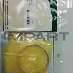 3S9643 Уплотнительное кольцо IPD