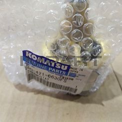 600-421-6630FS Термостат AM